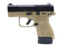 Buy Apx- A1 Carry, 1- Mag Flat Dark Earth